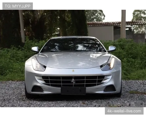 富里睡醒睁眼第一件事是数自己有几辆法拉利？